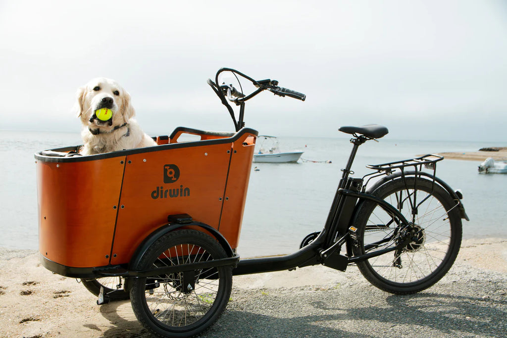 Caravan Electric Cargo Bike