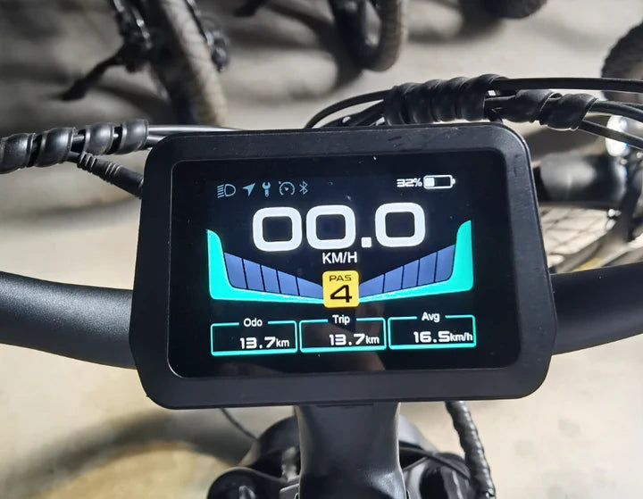 Pioneer Plus Hunting Electric Bike