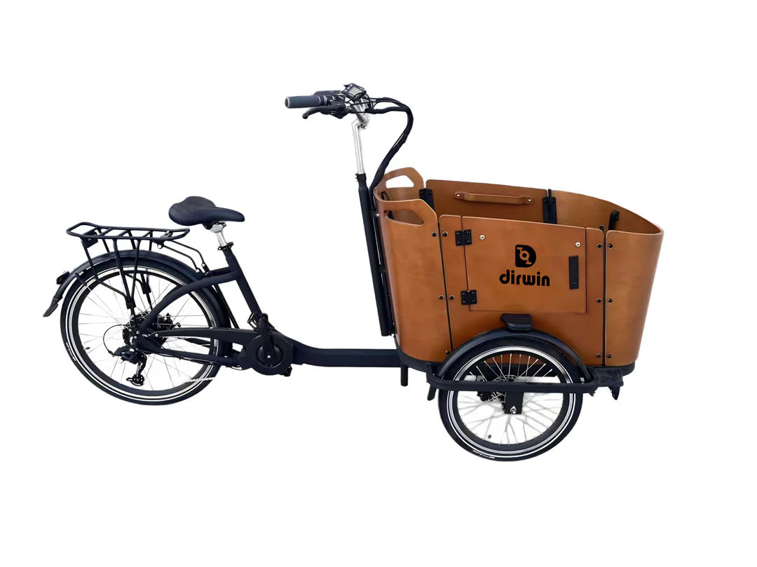 Caravan Electric Cargo Bike