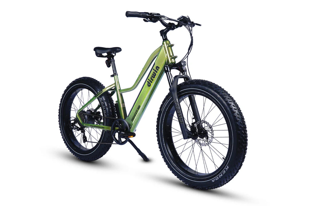 Pioneer Lite Hunting Electric Bike